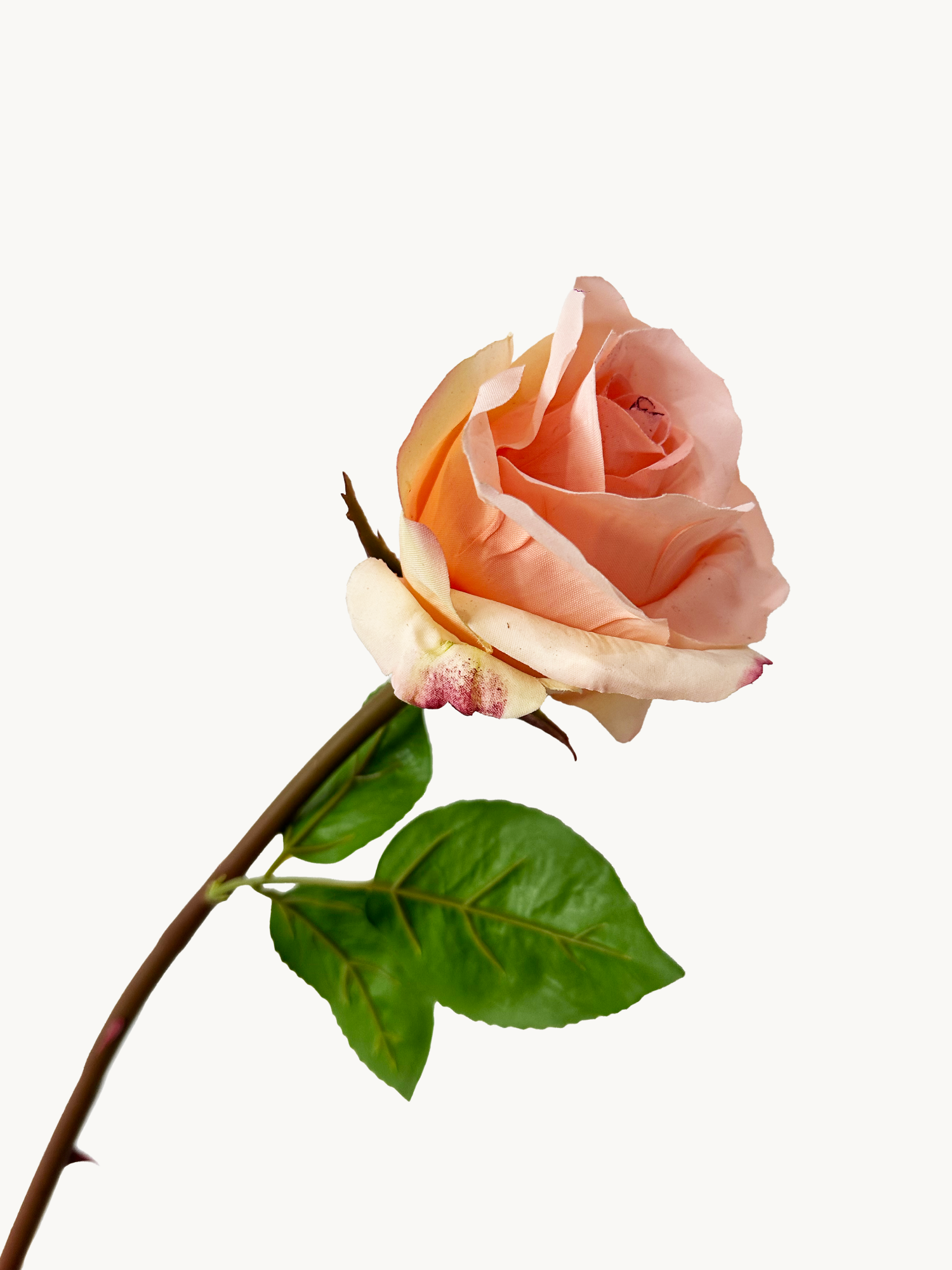 Amaranton 25" Rosa de tacto real - Melocotón