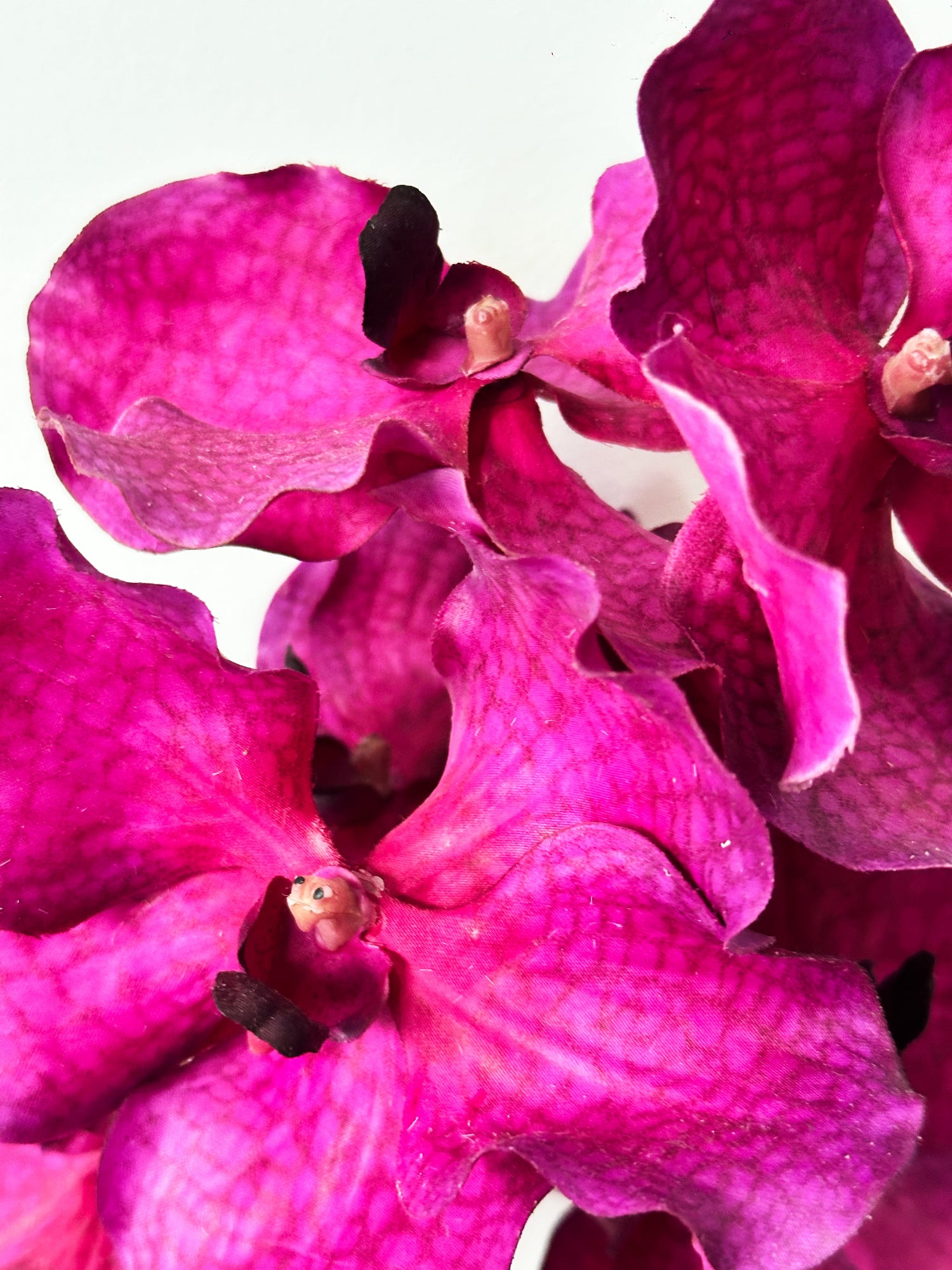 Orquídea Vanda Amaranton de 24" con tacto real - Morado rojizo