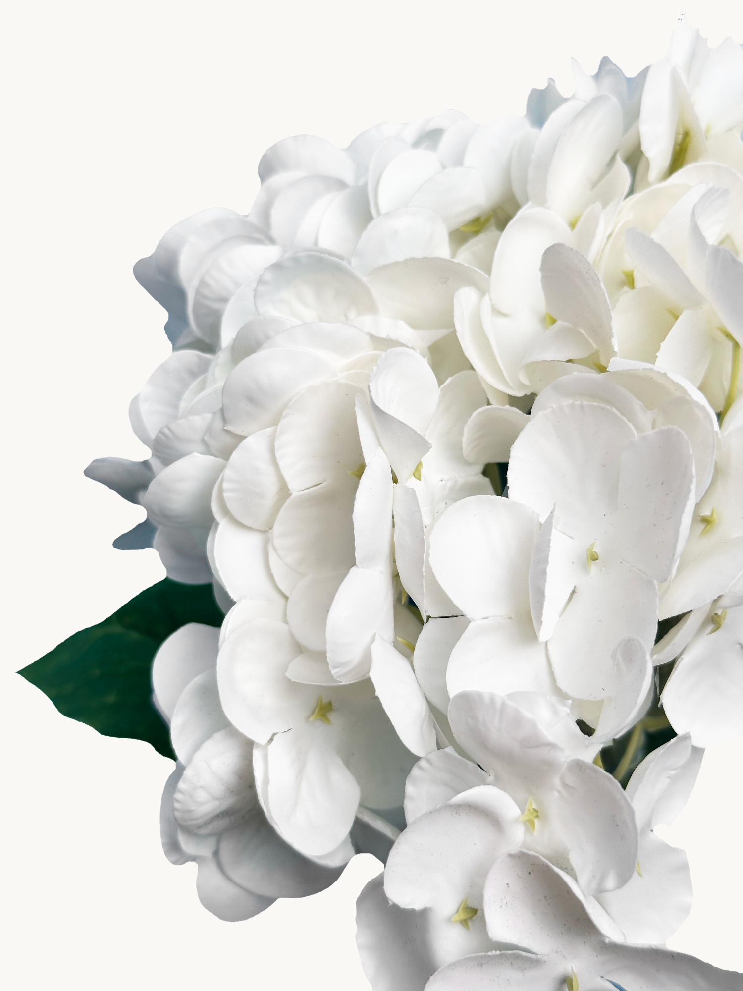 Hortensia Amaranton de 21" con tacto real - Blanca