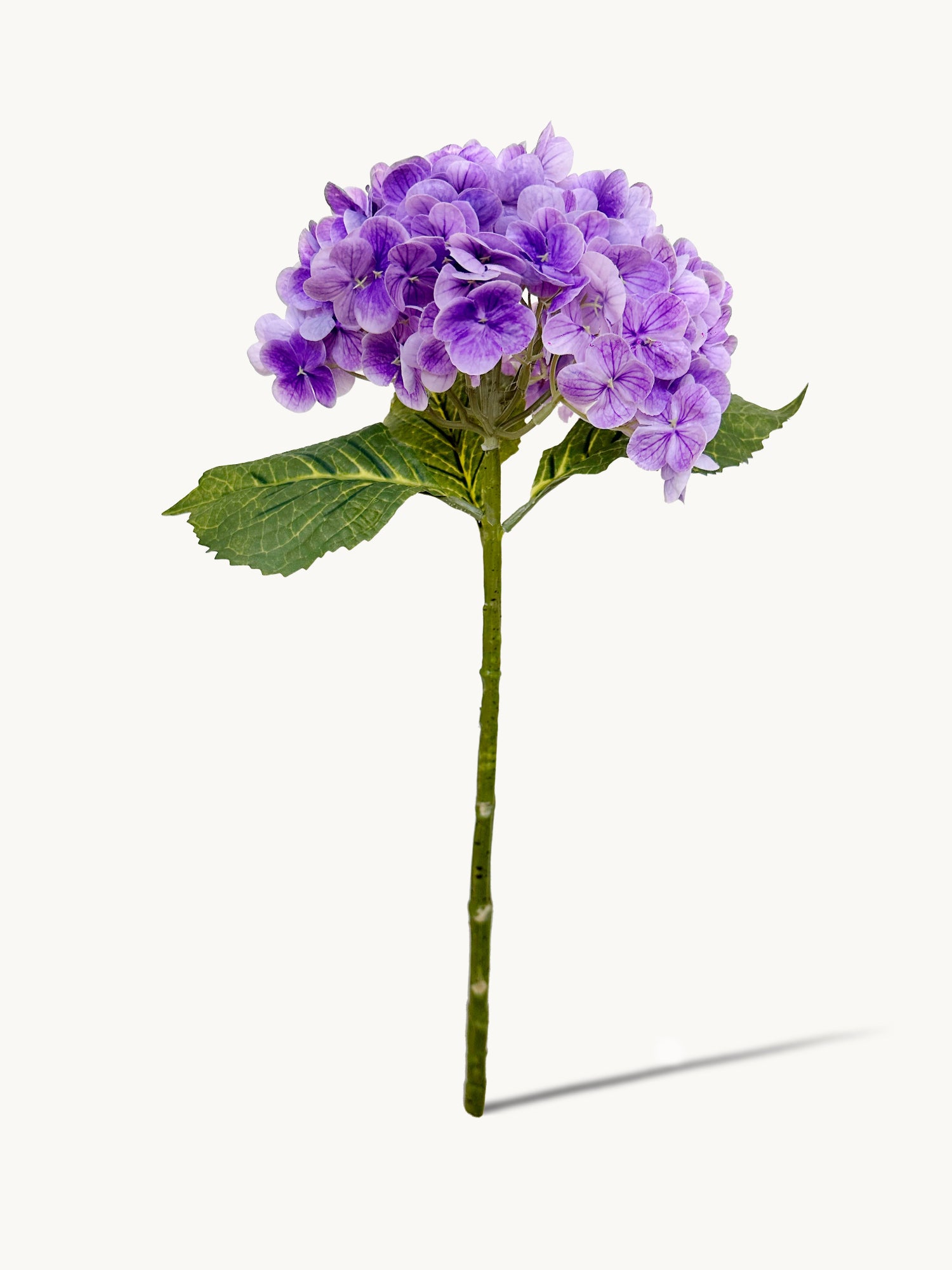 Hortensia Amaranton de 21" con tacto real - Violeta