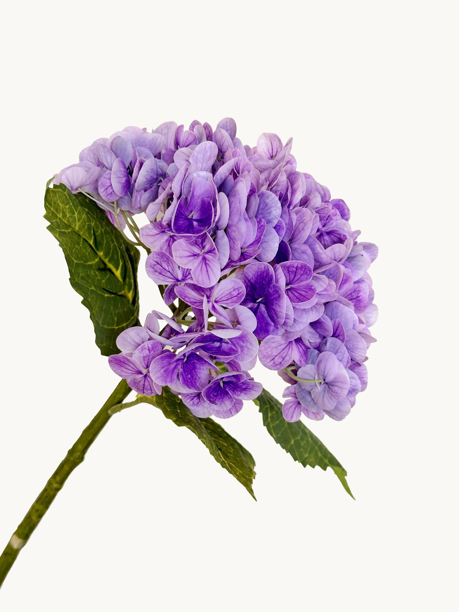 Hortensia Amaranton de 21" con tacto real - Violeta