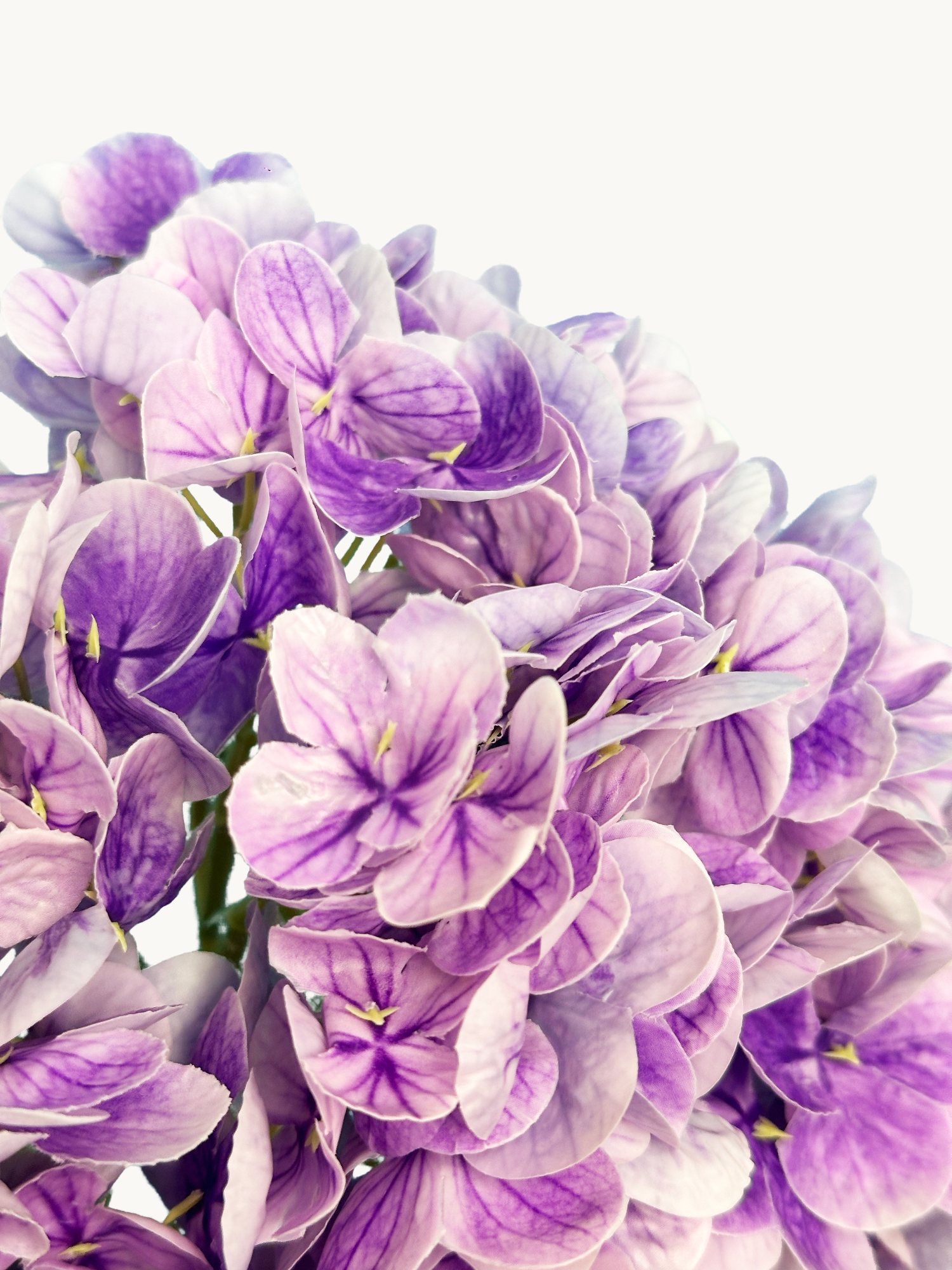 Hortensia Amaranton de 21" con tacto real - Violeta