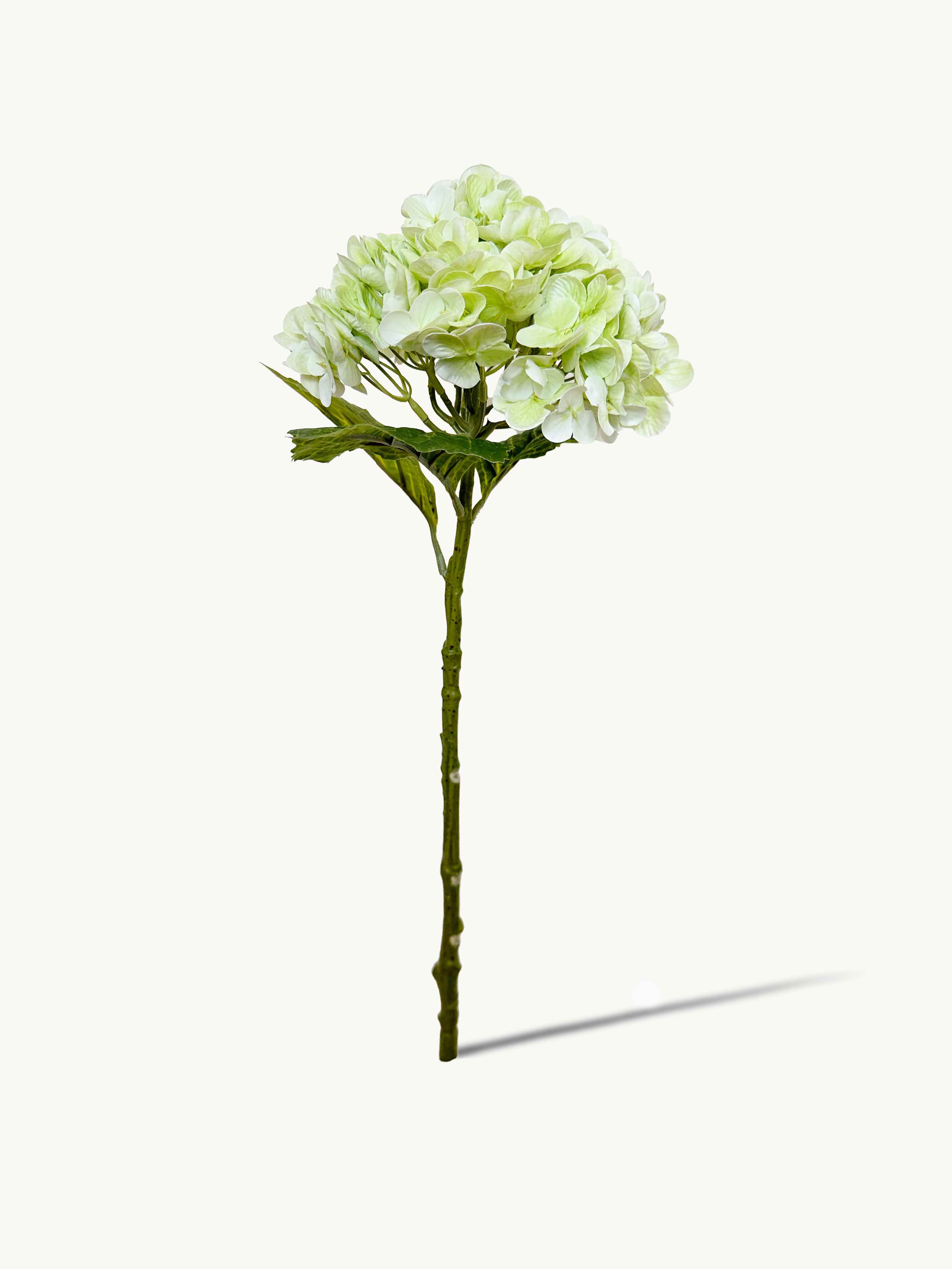 Hortensia Amaranton de 21" con tacto real - Verde claro