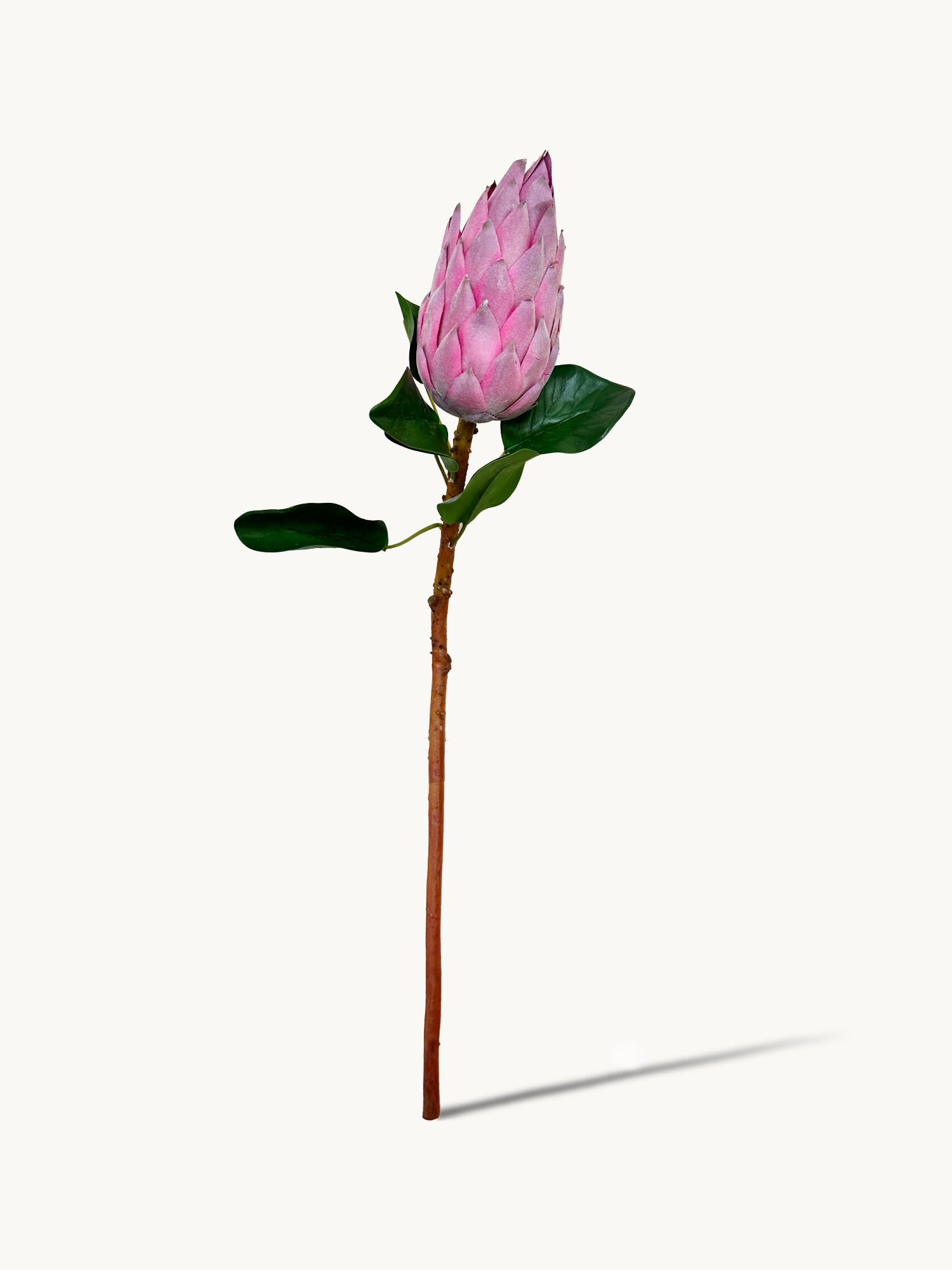 Amaranton 28" Real Touch King Protea Bud – Estilo Pagoda