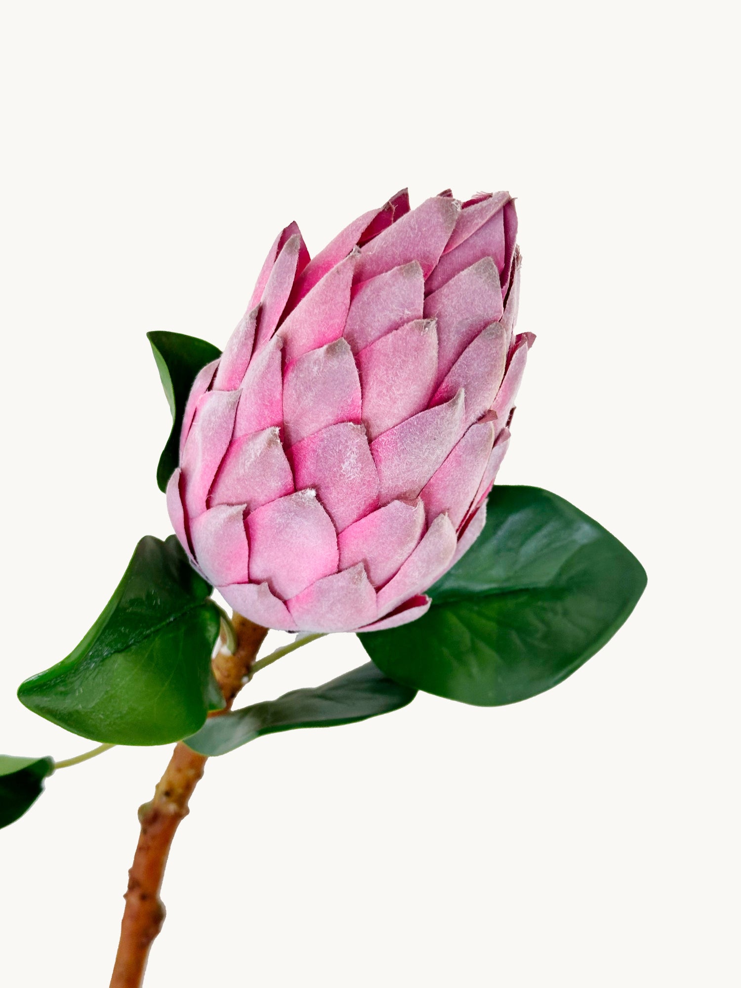Amaranton 28" Real Touch King Protea Bud – Estilo Pagoda