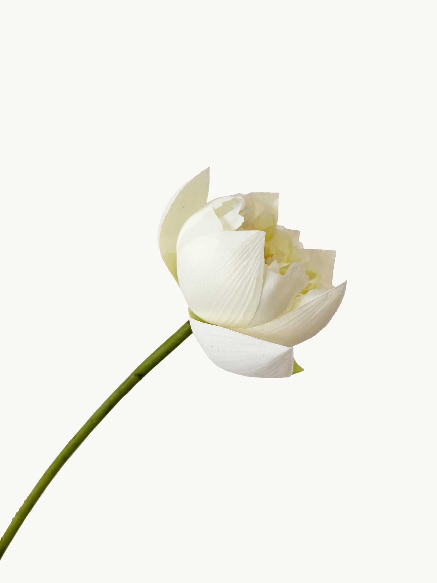 Amaranton 26" Flor de loto de tacto real - Blanco