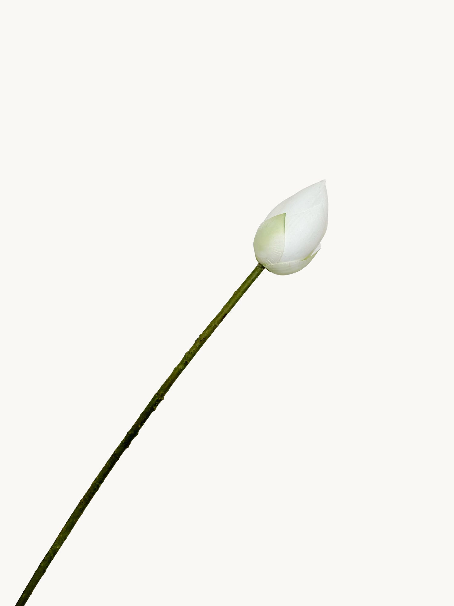 Amaranton™ 26" RealTouch™ Lotus Bud - White