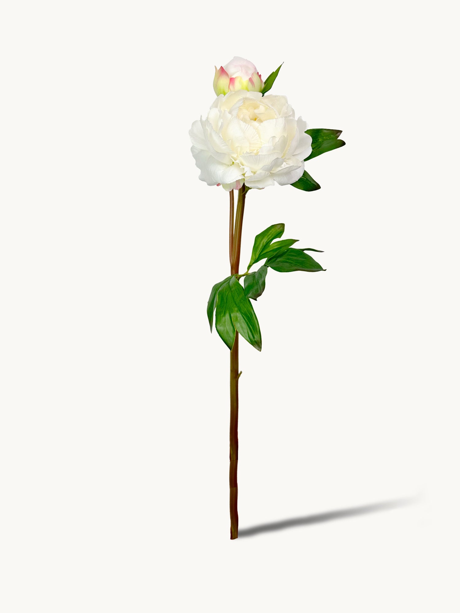 Amaranton™ 25" Realistica™ Peony with 1 Bloom and 1 Bud - White