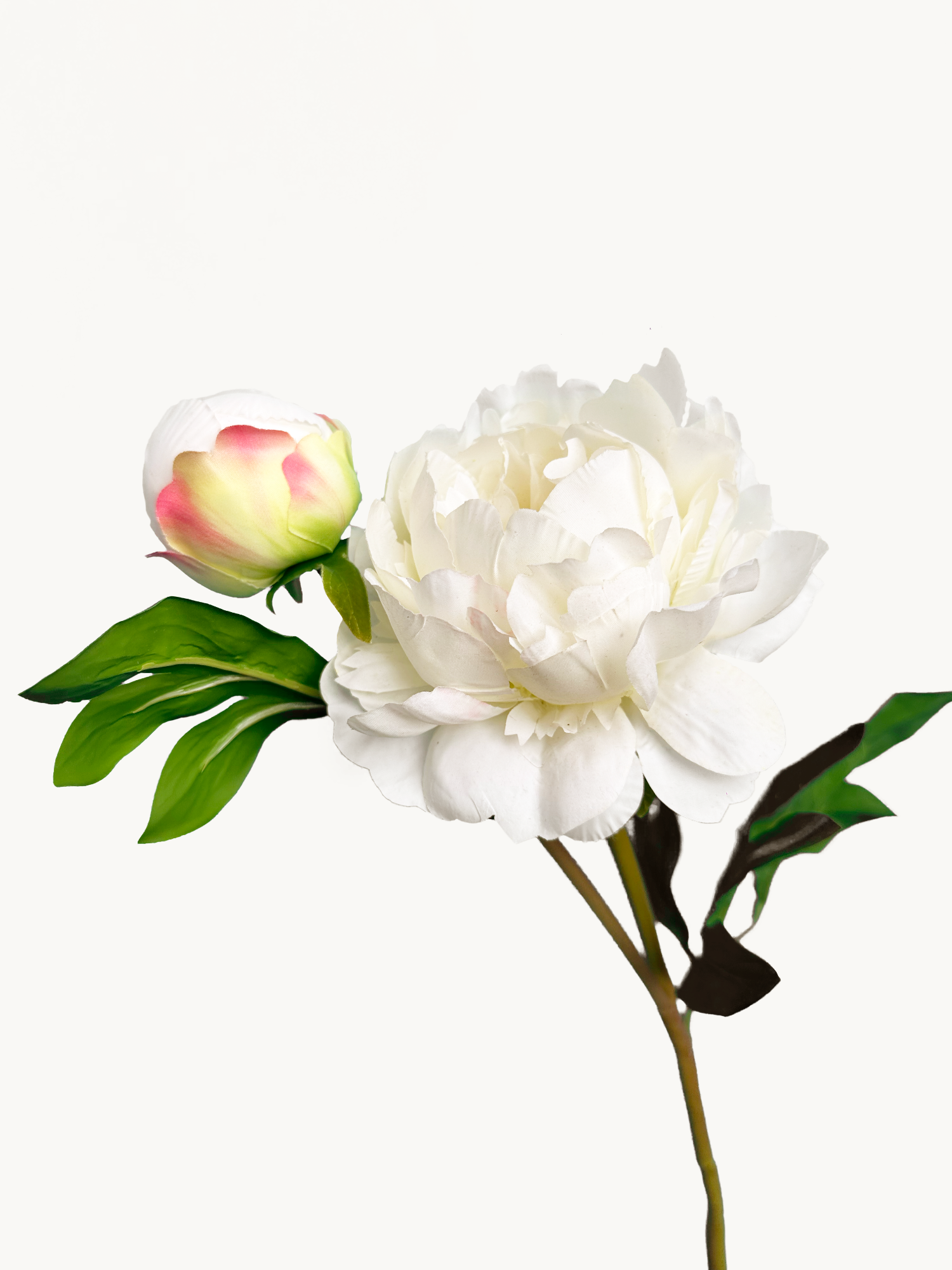 Amaranton™ 25" Realistica™ Peony with 1 Bloom and 1 Bud - White