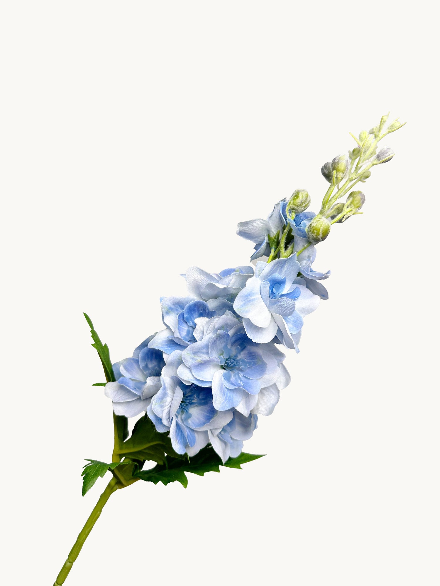 Delphinium de doble pétalo de seda de tacto real Amaranton de 28" - Azul claro
