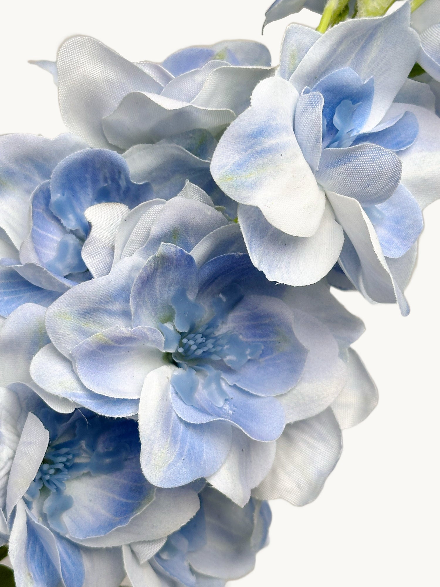 Delphinium de doble pétalo de seda de tacto real Amaranton de 28" - Azul claro