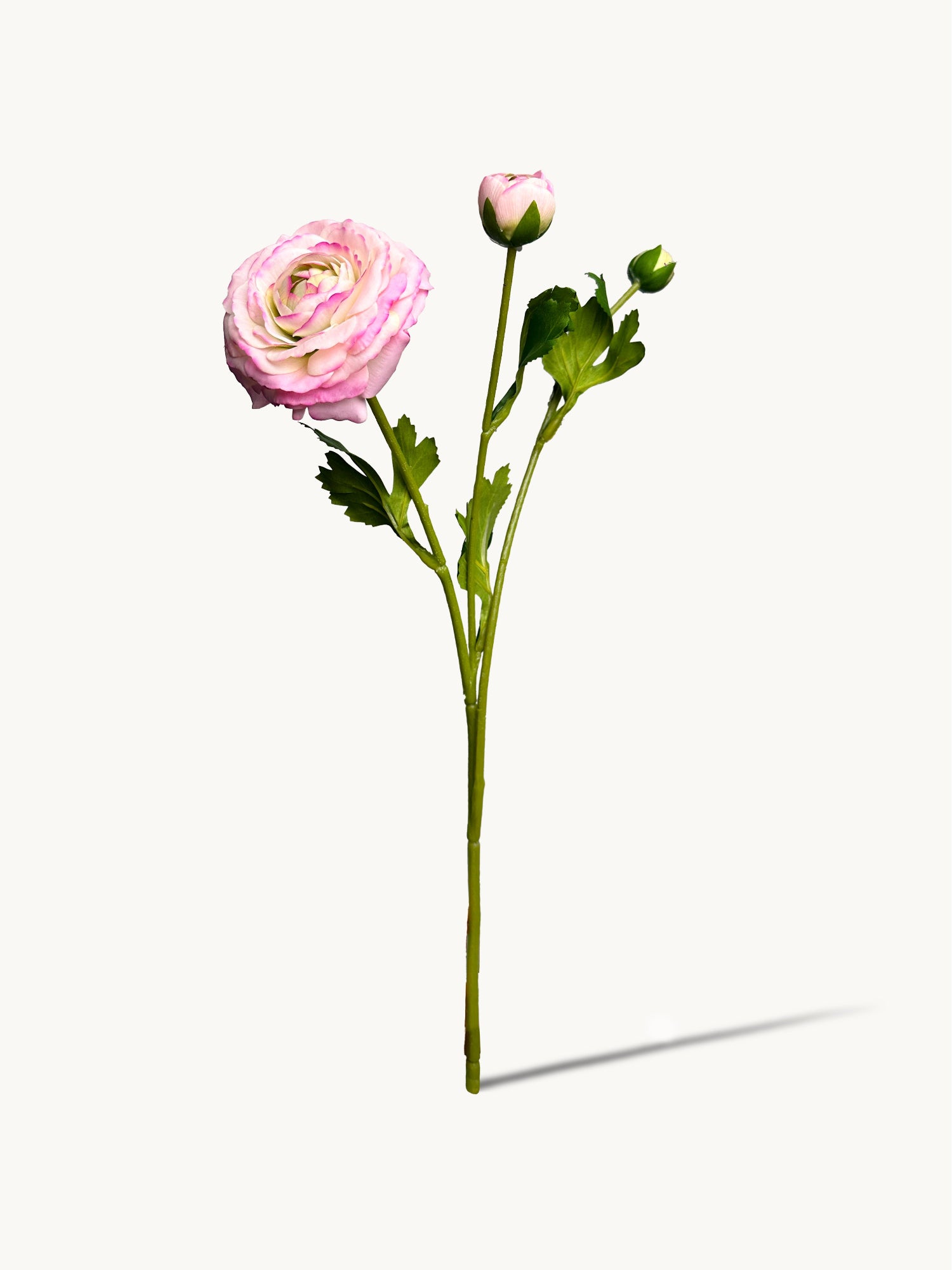 Amaranton™ 19" RealTouch™ Ranunculus Spray with 1 Bloom and 2 Buds - Pink