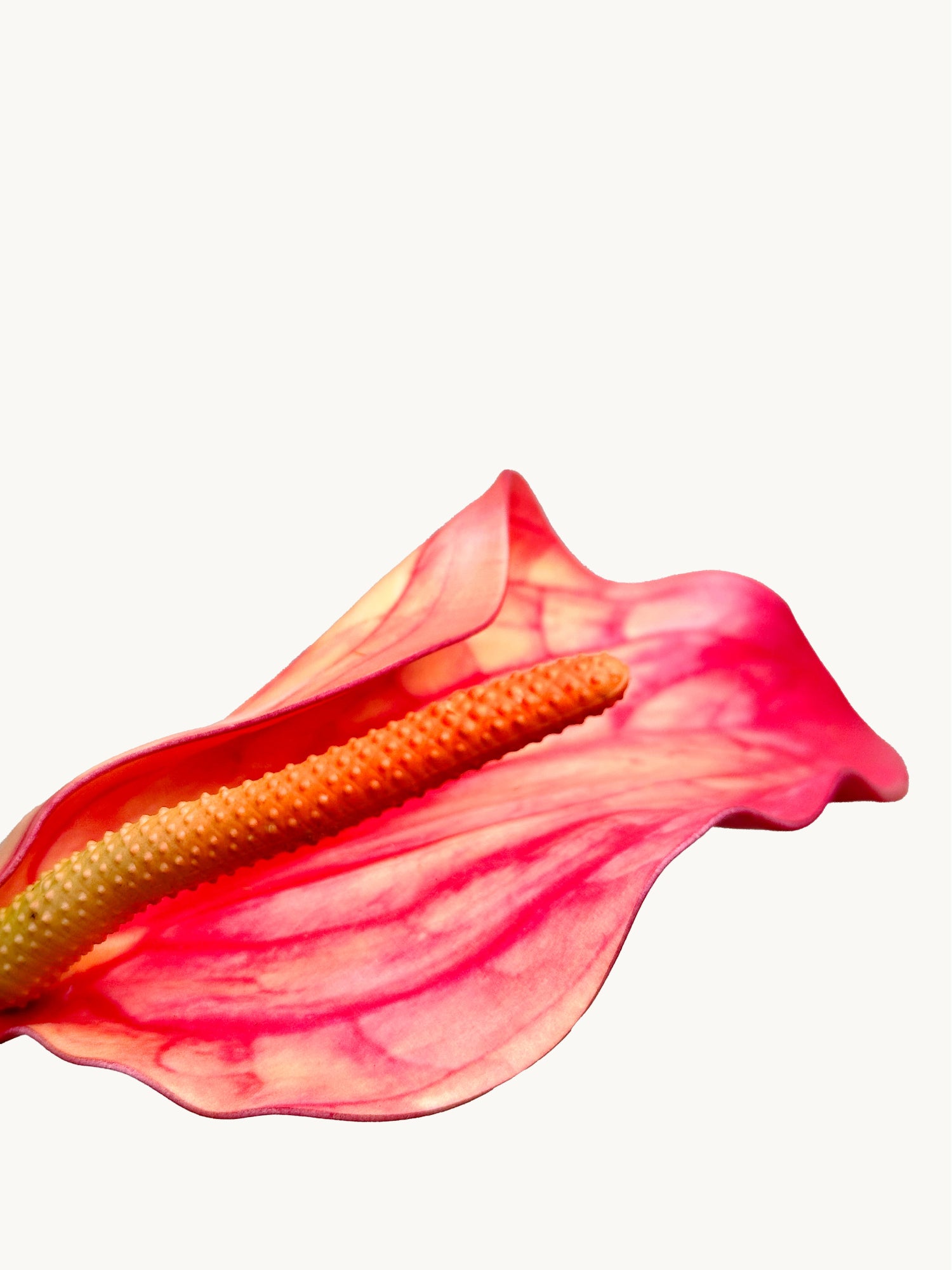 Anturio realista Amaranton de 71 cm con espádice - Naranja