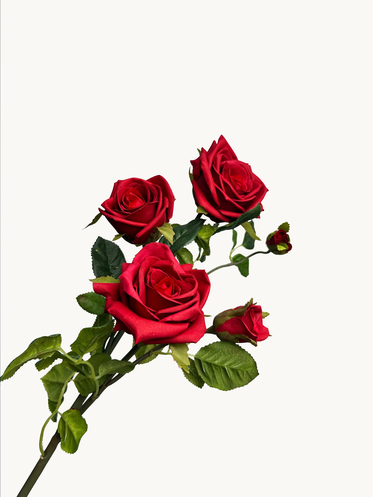 Amaranton 35" Real Touch 5-Bloom Racer Rose - Borgoña