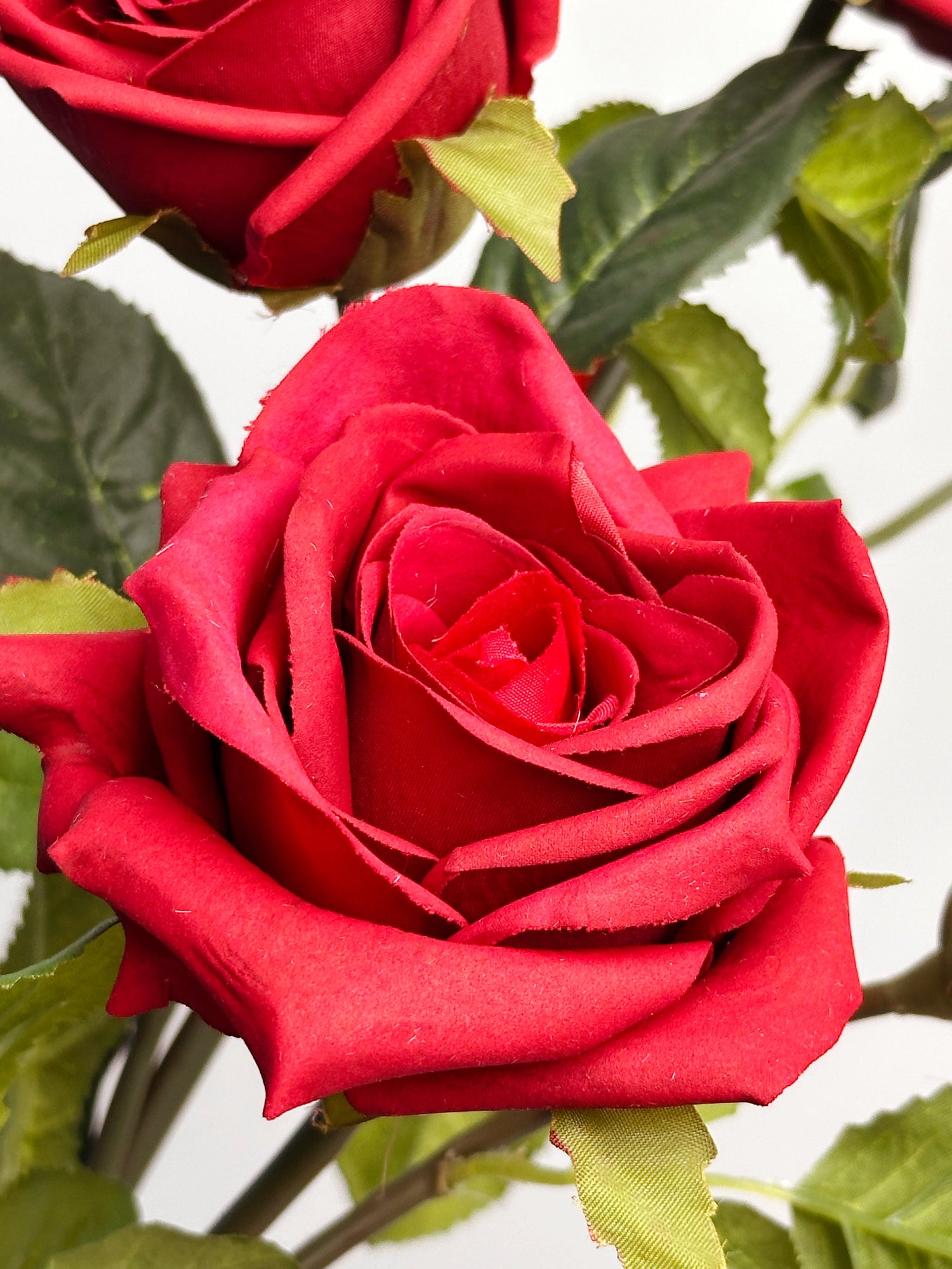 Amaranton 35" Real Touch 5-Bloom Racer Rose - Borgoña