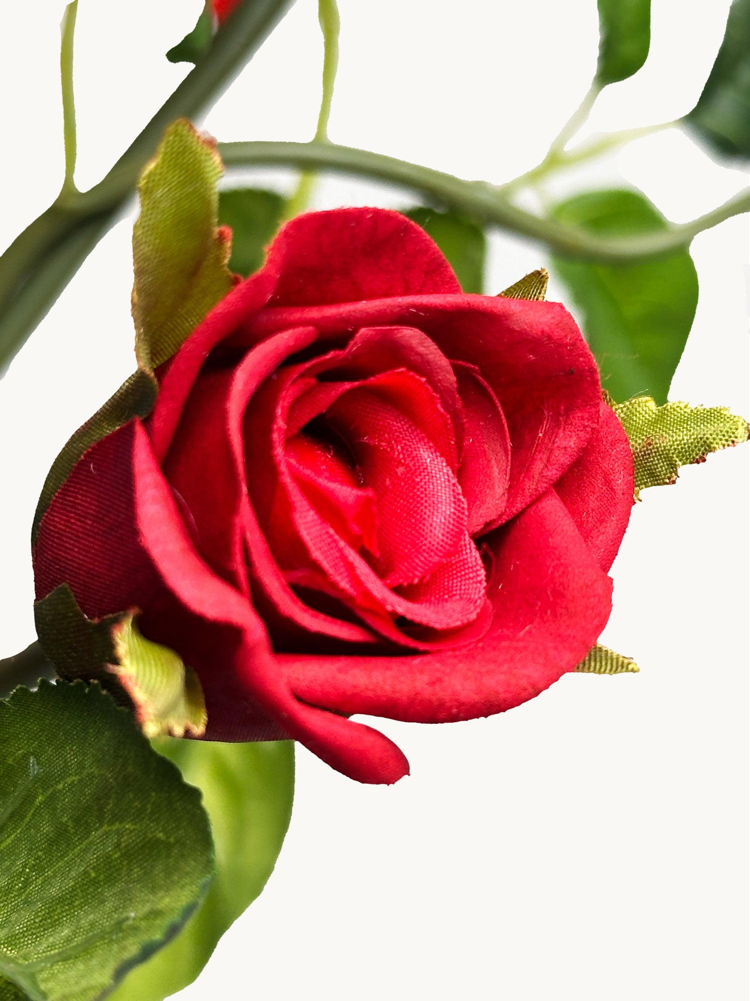 Amaranton 35" Real Touch 5-Bloom Racer Rose - Borgoña