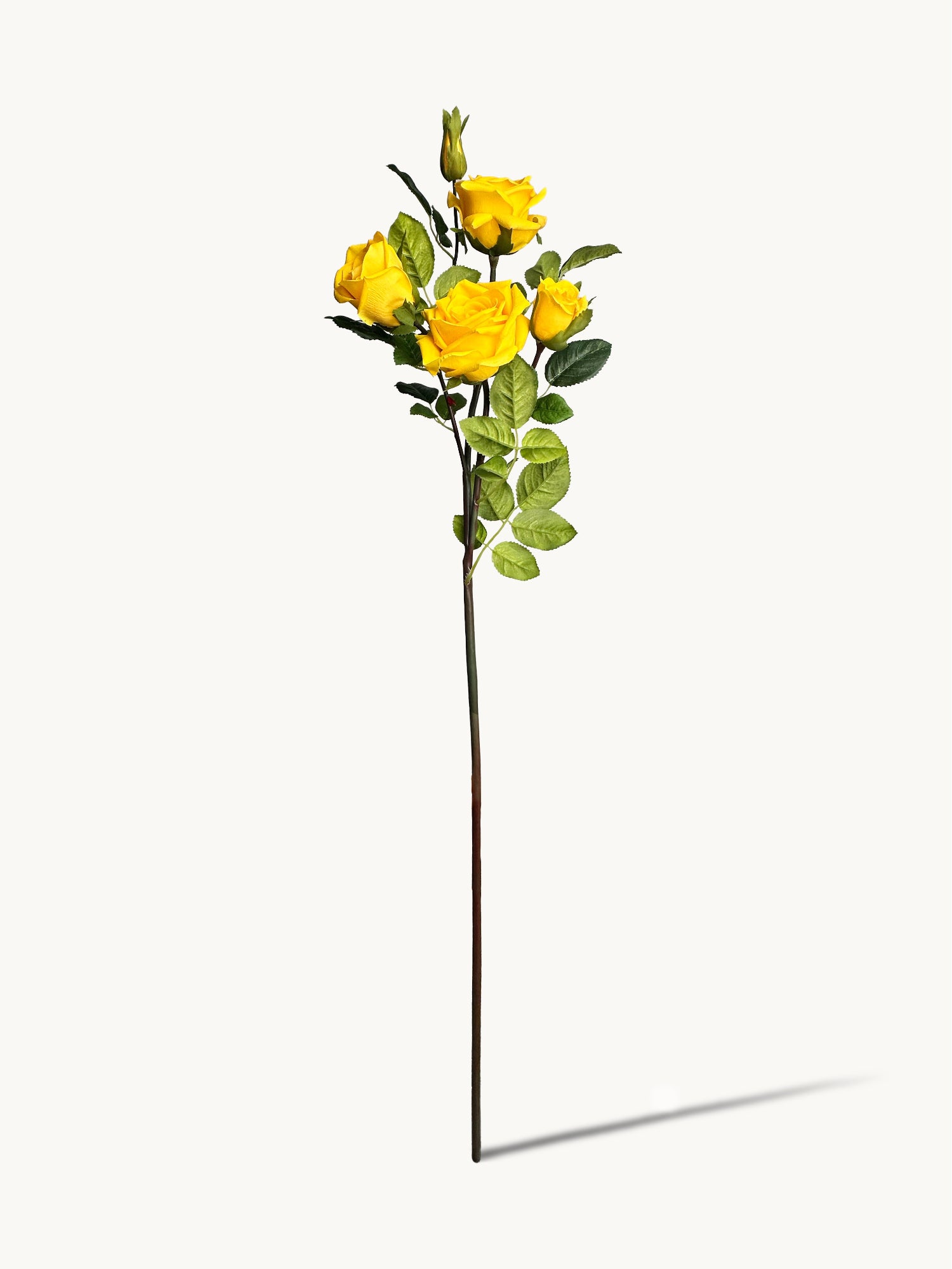 Amaranton 35" Real touch 5 - Bloom Racer Rose - Amarillo brillante