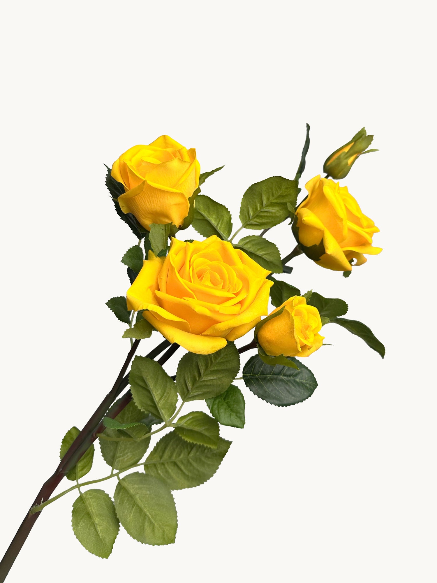 Amaranton 35" Real touch 5 - Bloom Racer Rose - Amarillo brillante