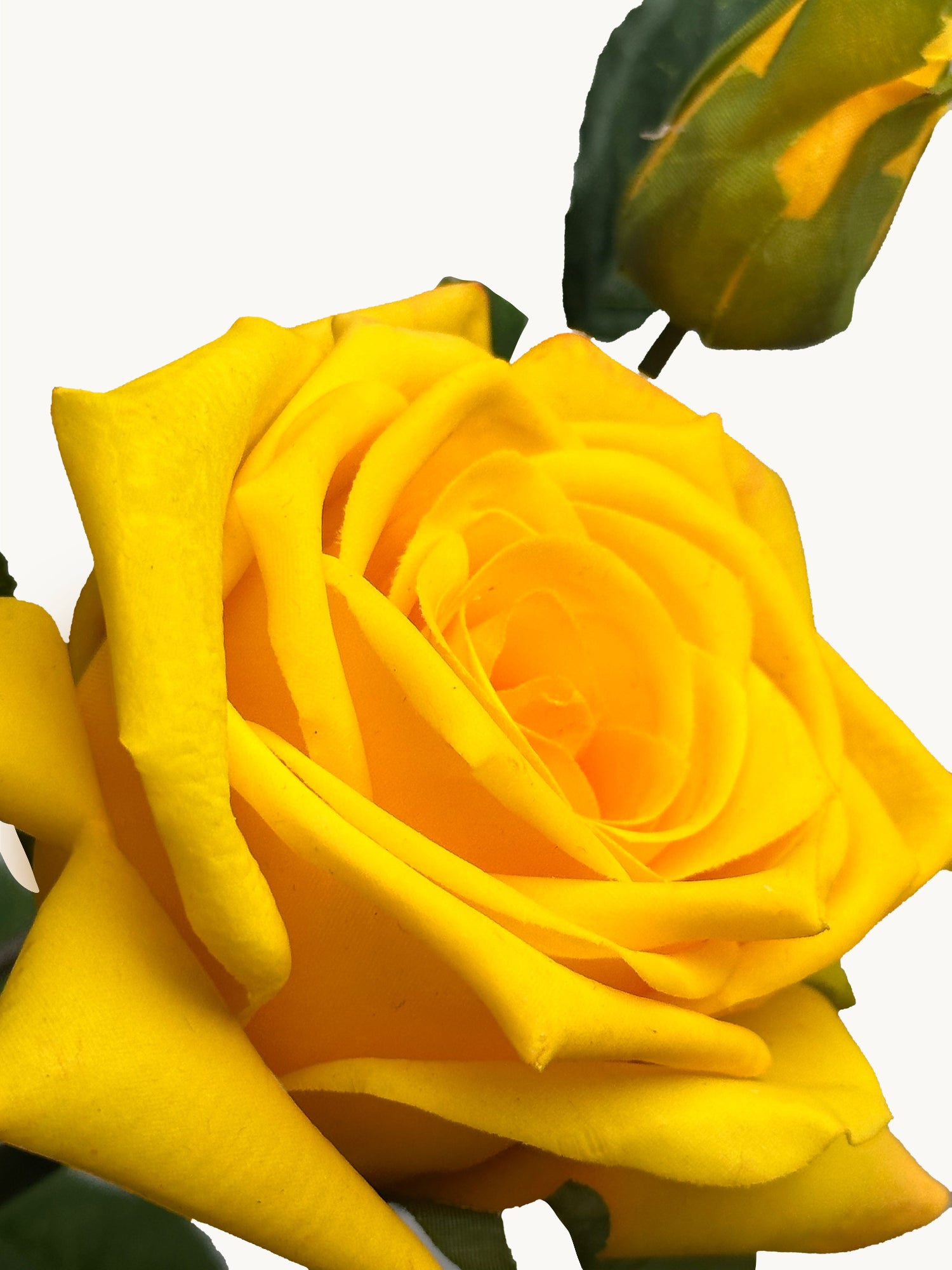 Amaranton 35" Real touch 5 - Bloom Racer Rose - Amarillo brillante