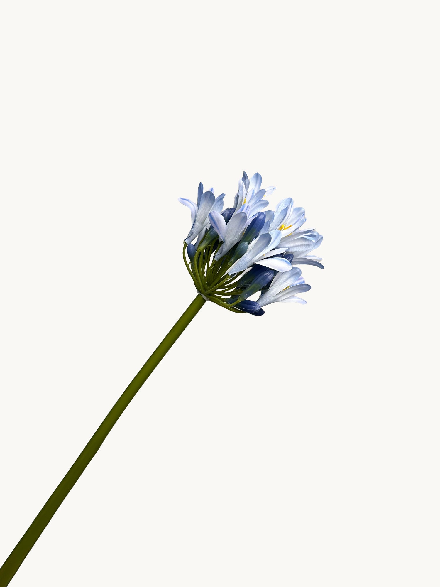 Amaranton™ 28" Realistica™ Lily of the Nile - Blue