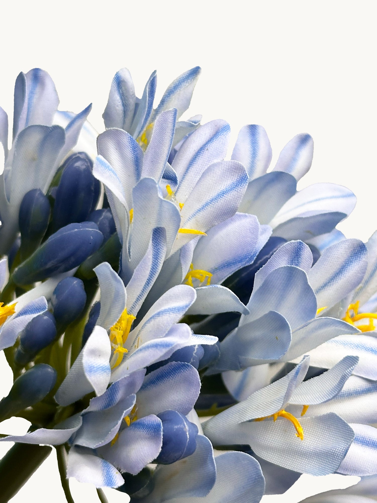 Amaranton™ 28" Realistica™ Lily of the Nile - Blue