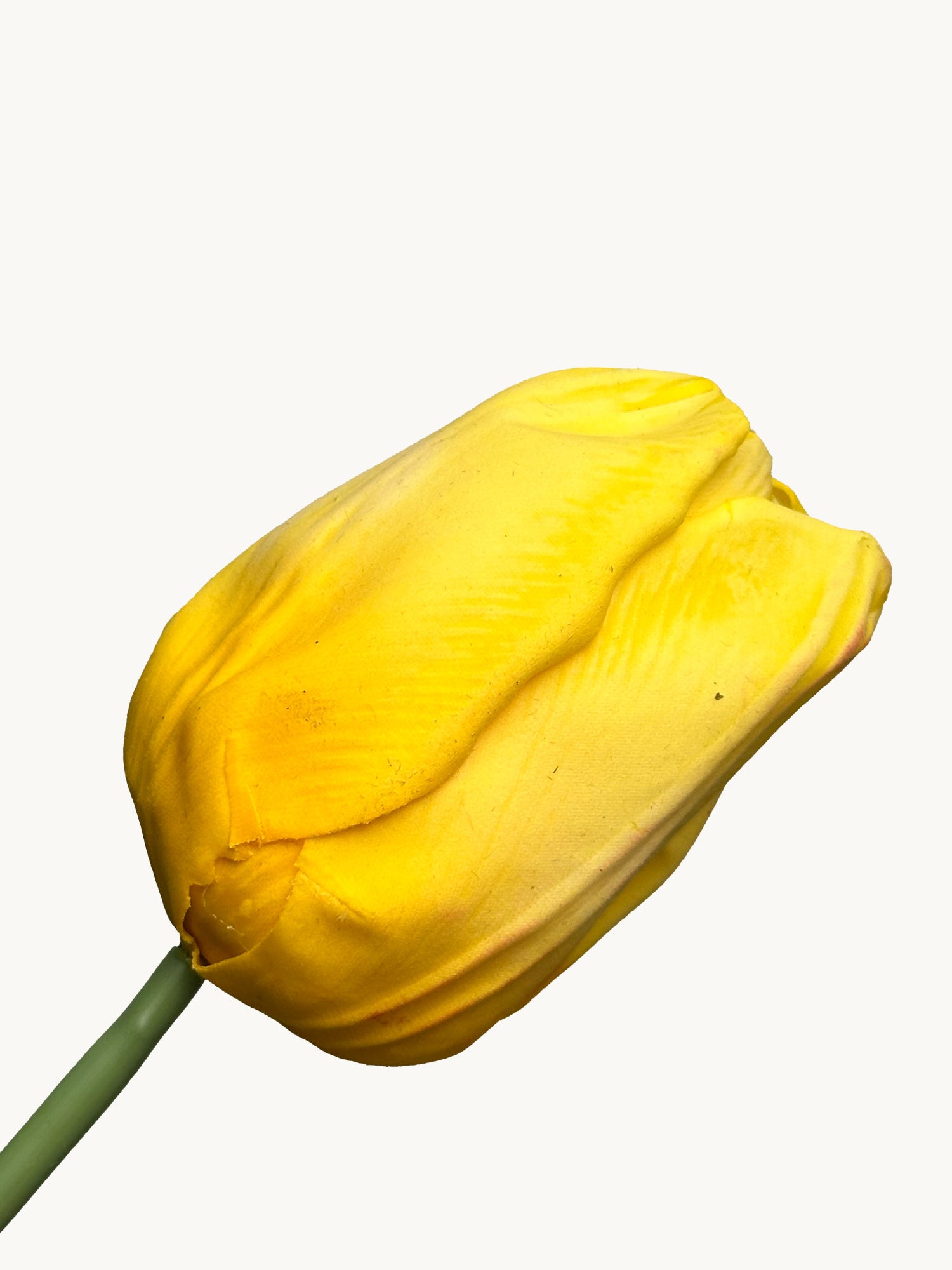 Tulipán Amaranton de 21" con cabeza grande y tacto real - Amarillo