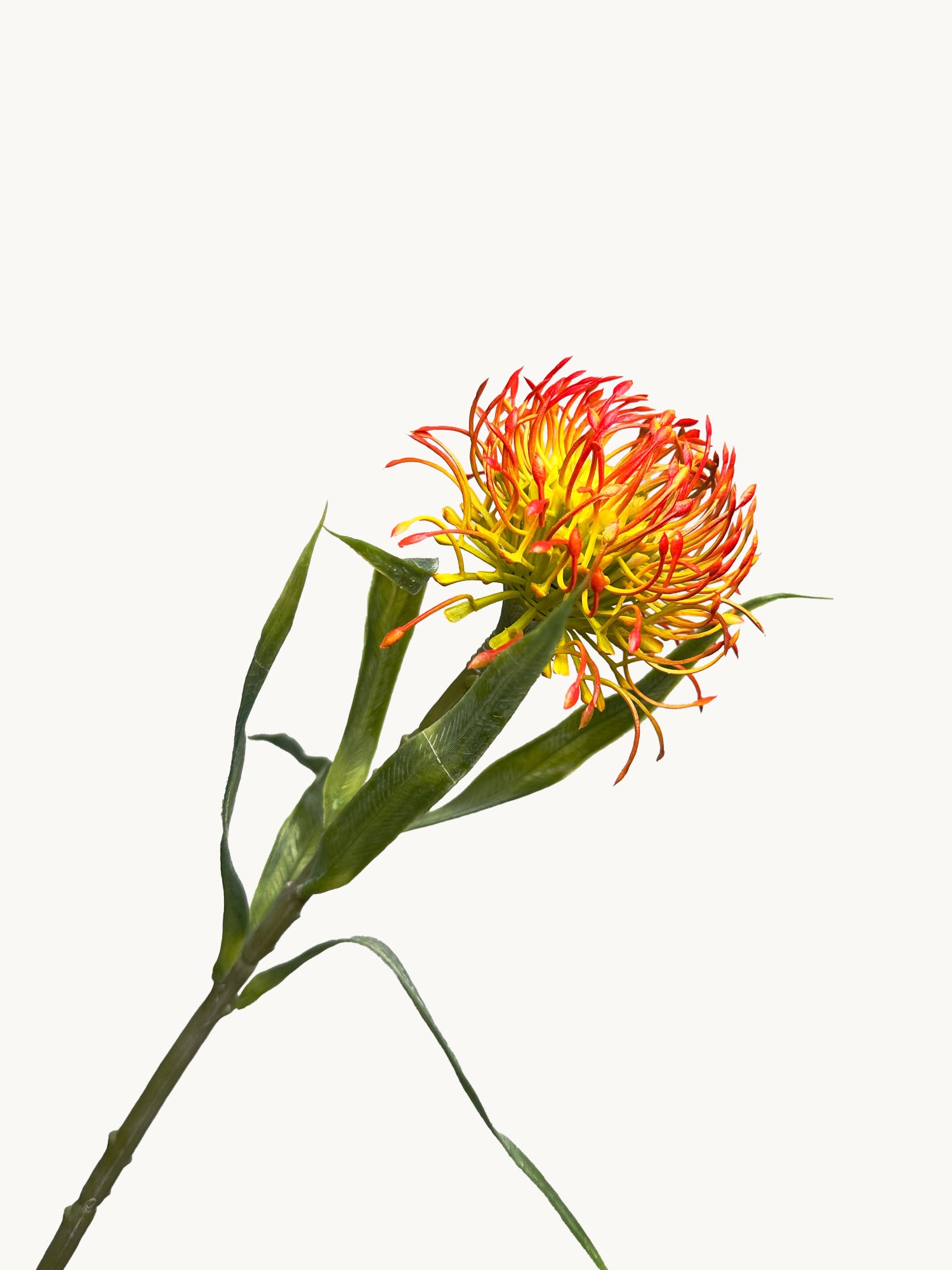 Amaranton™ 17" Realistica™ Pincushion Protea Flower- Orange