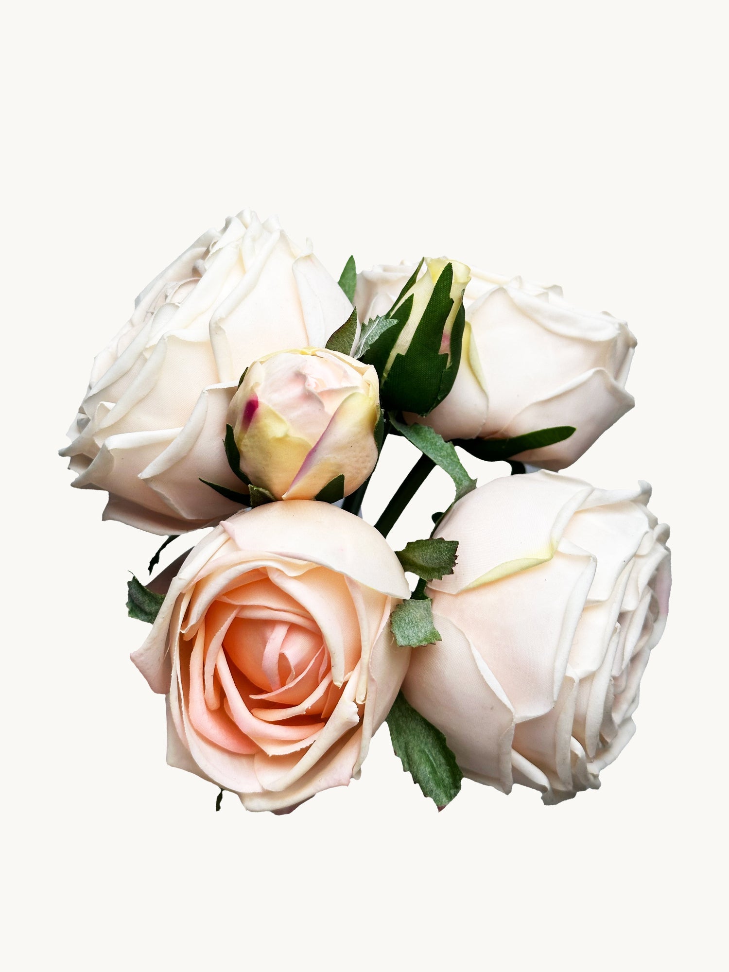 Amaranton - Ramo de 6 tallos de rosa de col de tacto real de 8" - Champán