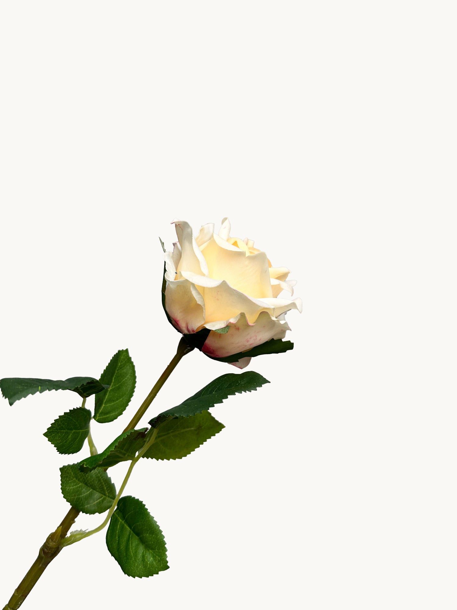 Amaranton 17" Rosado Inglés Real Touch - Champán