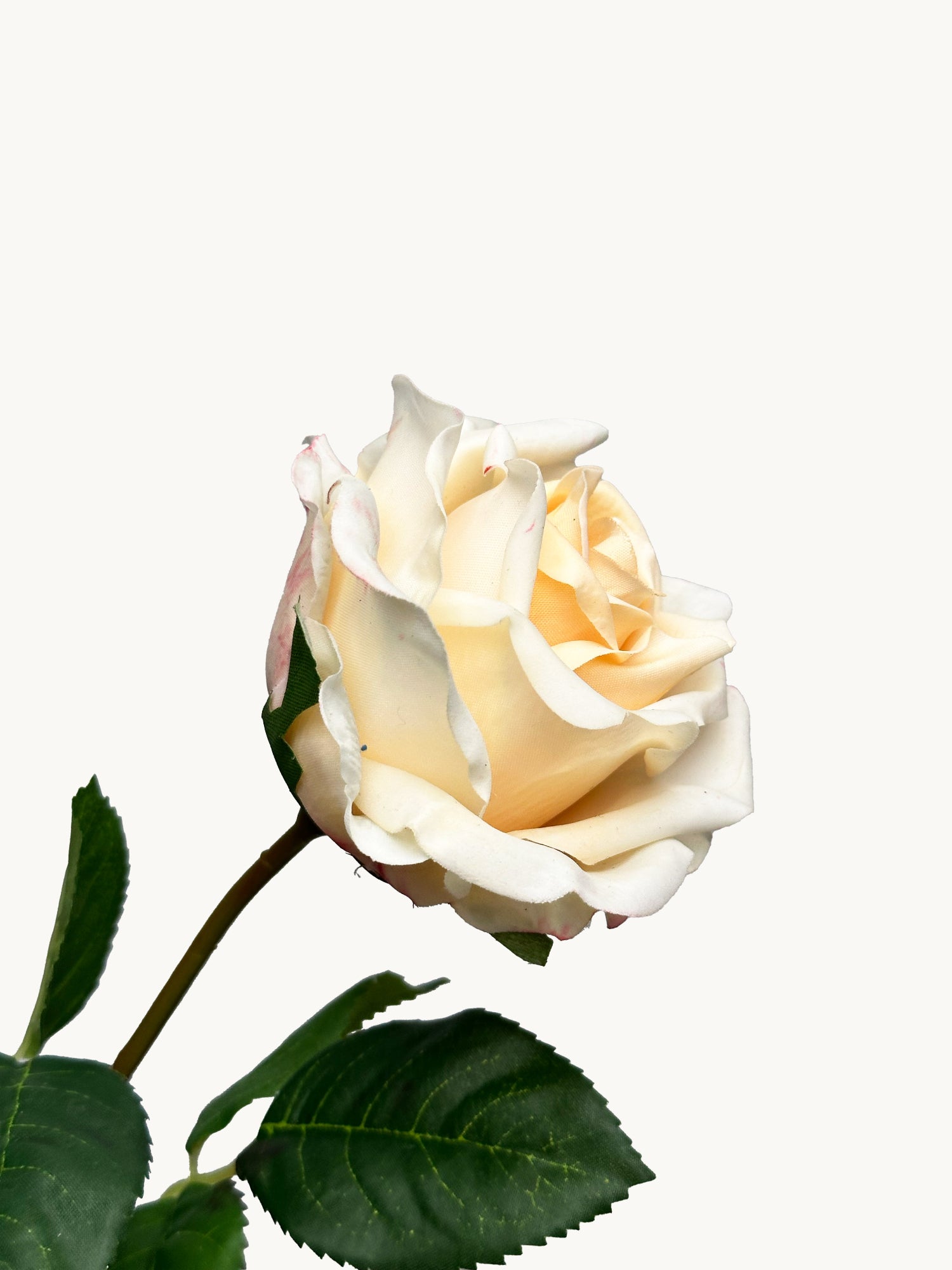 Amaranton 17" Rosado Inglés Real Touch - Champán