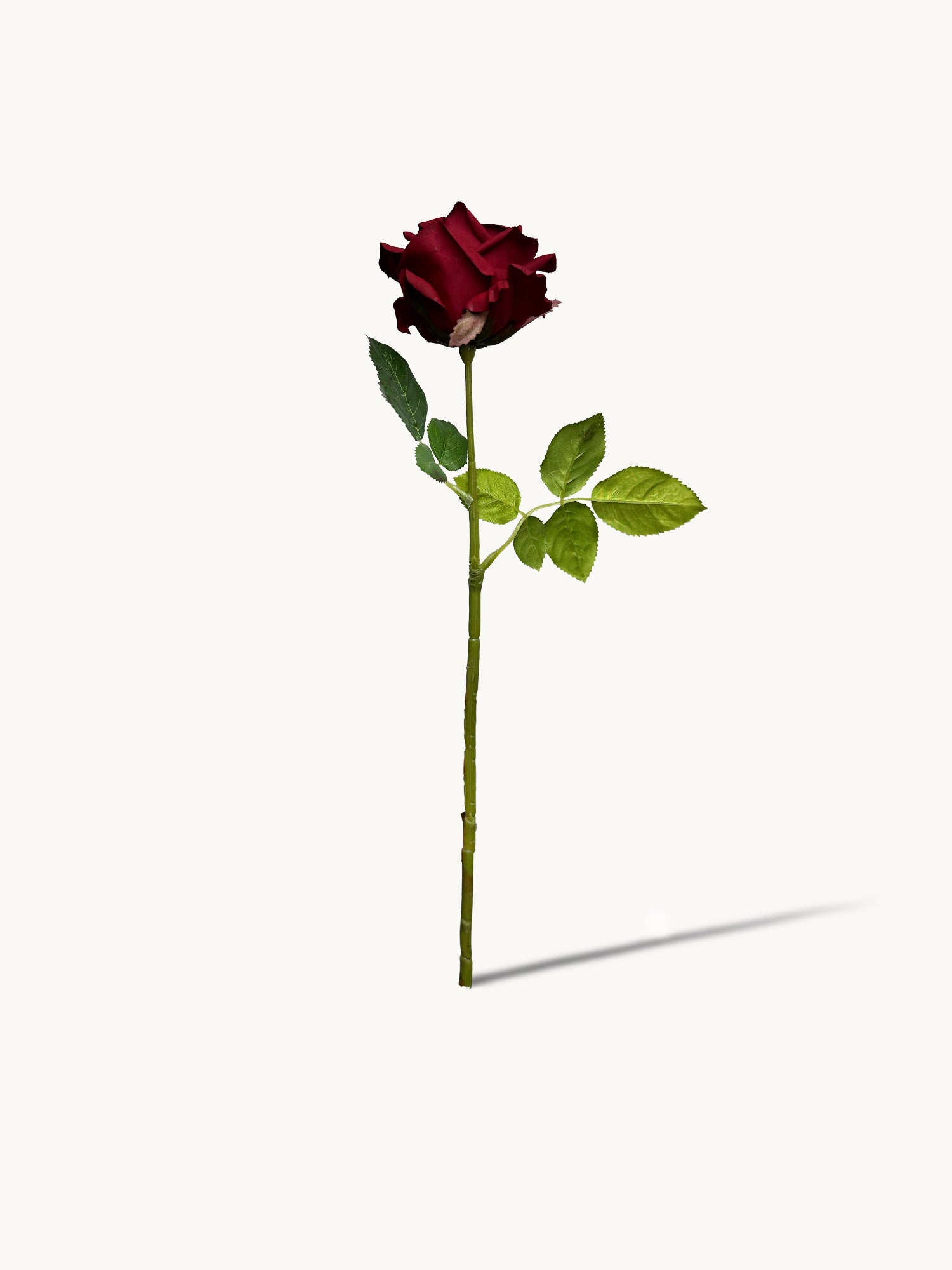 Amaranton 17" Rosa inglesa de tacto real - Borgoña